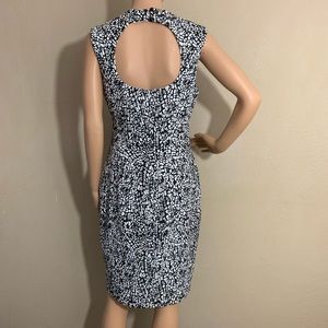 Cache sheath dress keyhole back  sz 6